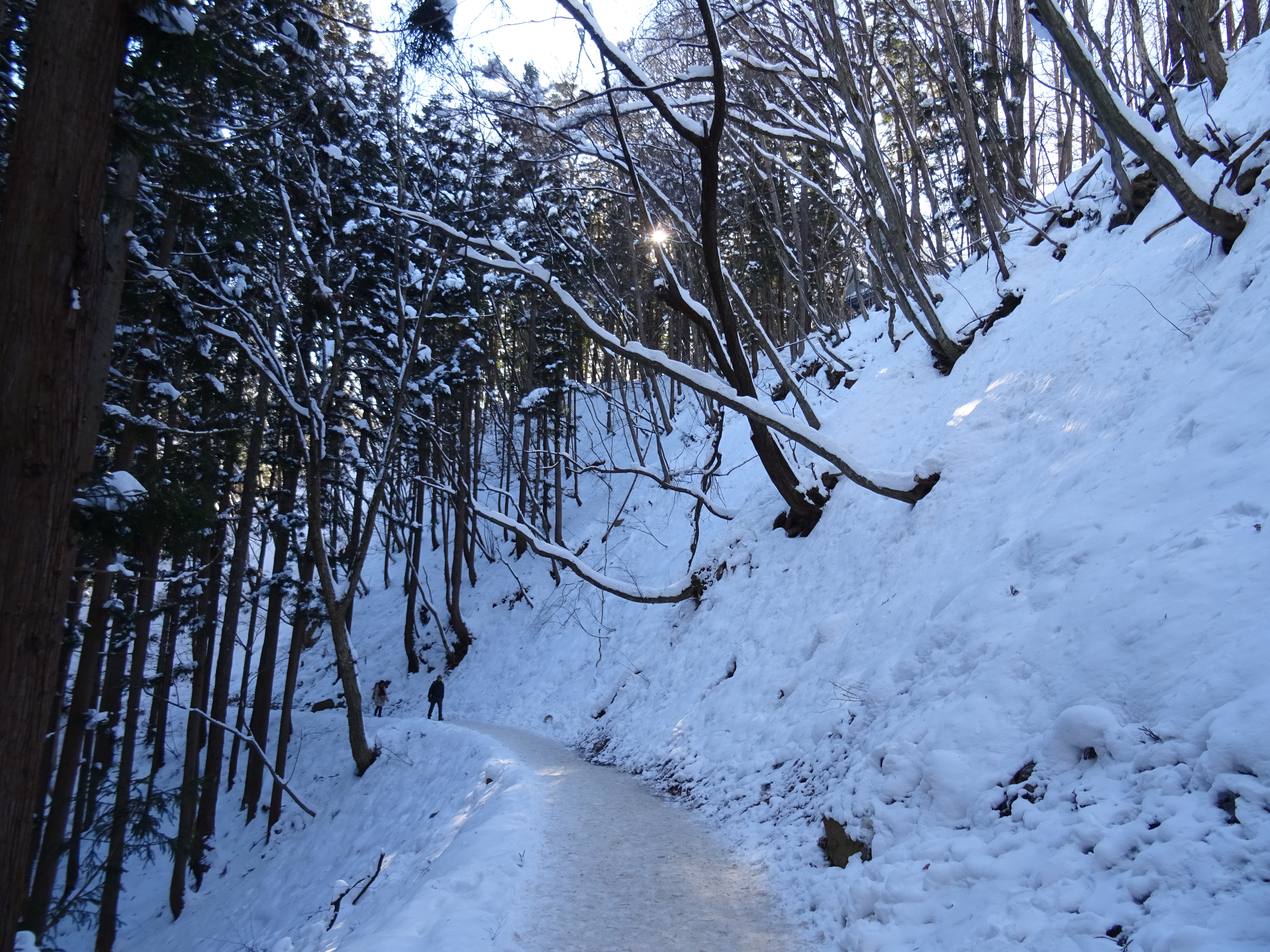 Visiting snow monkey park Jigokudani from Tokyo
