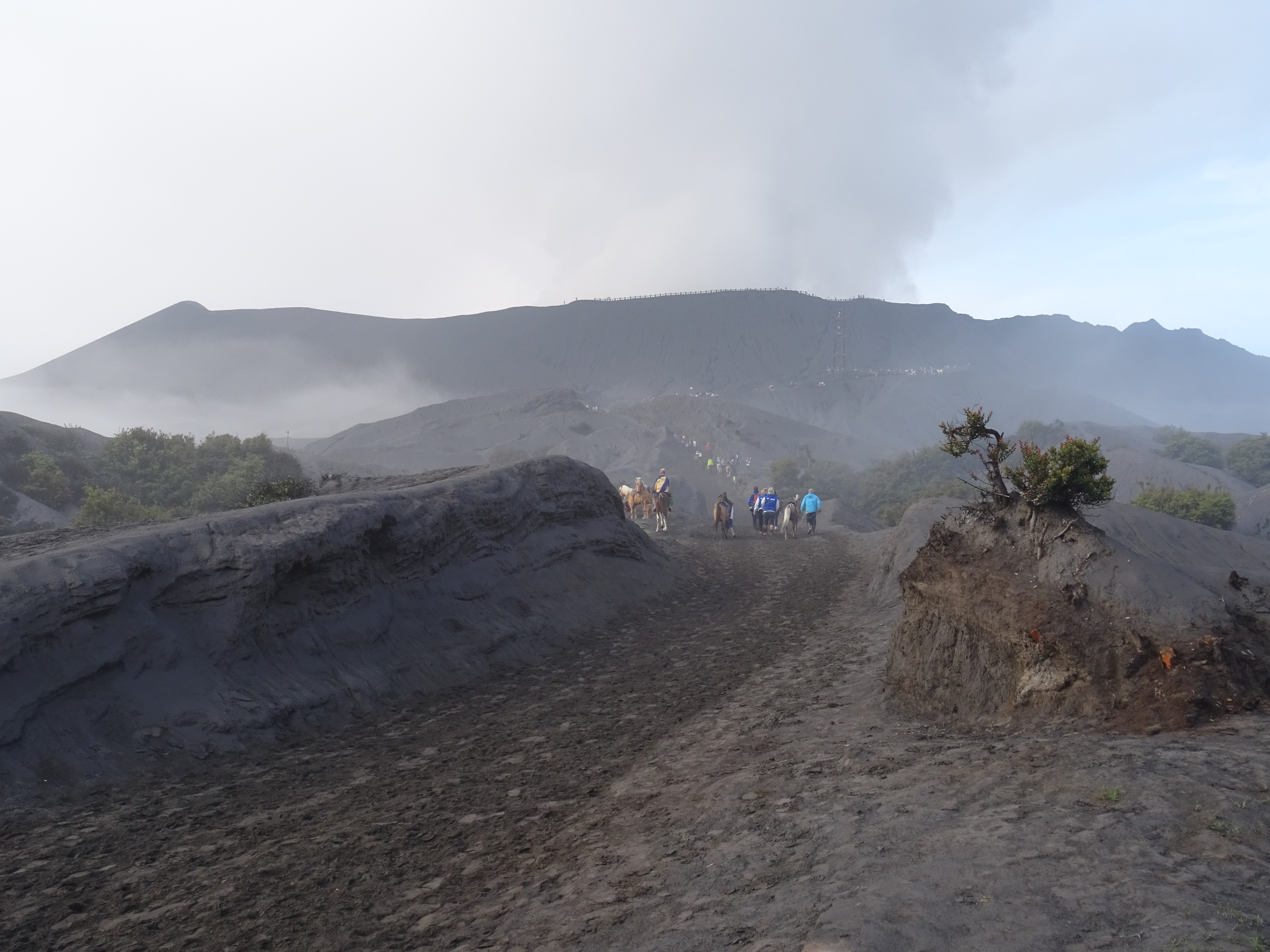 Bromo volcano Java solo travel